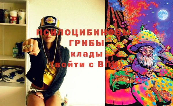 мяу мяу мука Баксан