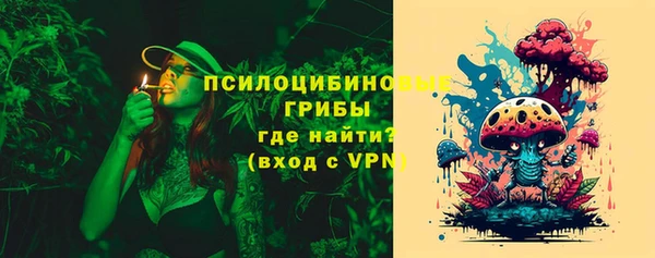 мяу мяу мука Баксан