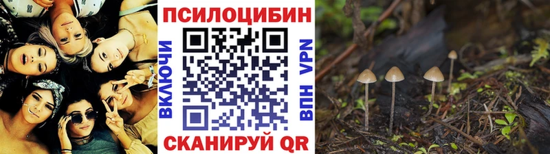 купить закладку  Кумертау  Галлюциногенные грибы прущие грибы 